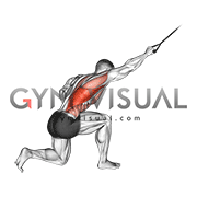Band One Arm Lat Pulldown