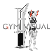 Band Overhead Triceps Extension